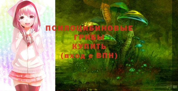 прущий лед Аркадак