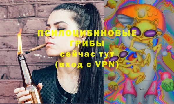 прущий лед Аркадак