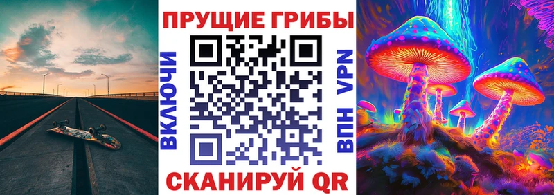 мориарти состав  Пугачёв  Псилоцибиновые грибы ЛСД  где найти  